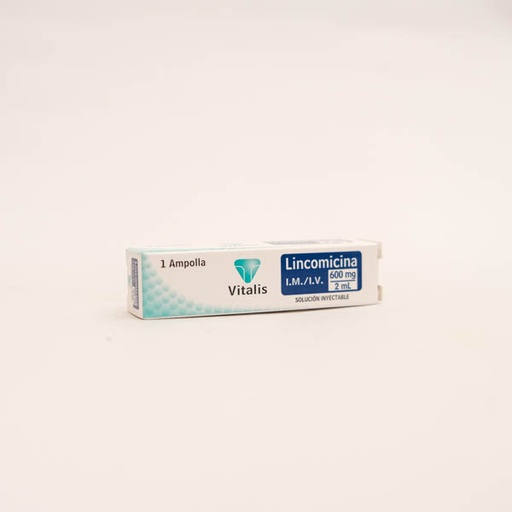 [006169] LINCOMICINA AMP 600MG X 1  VITALIS